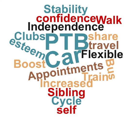 An image made of words which describe personal travel budgets, including independence, flexible and stability.