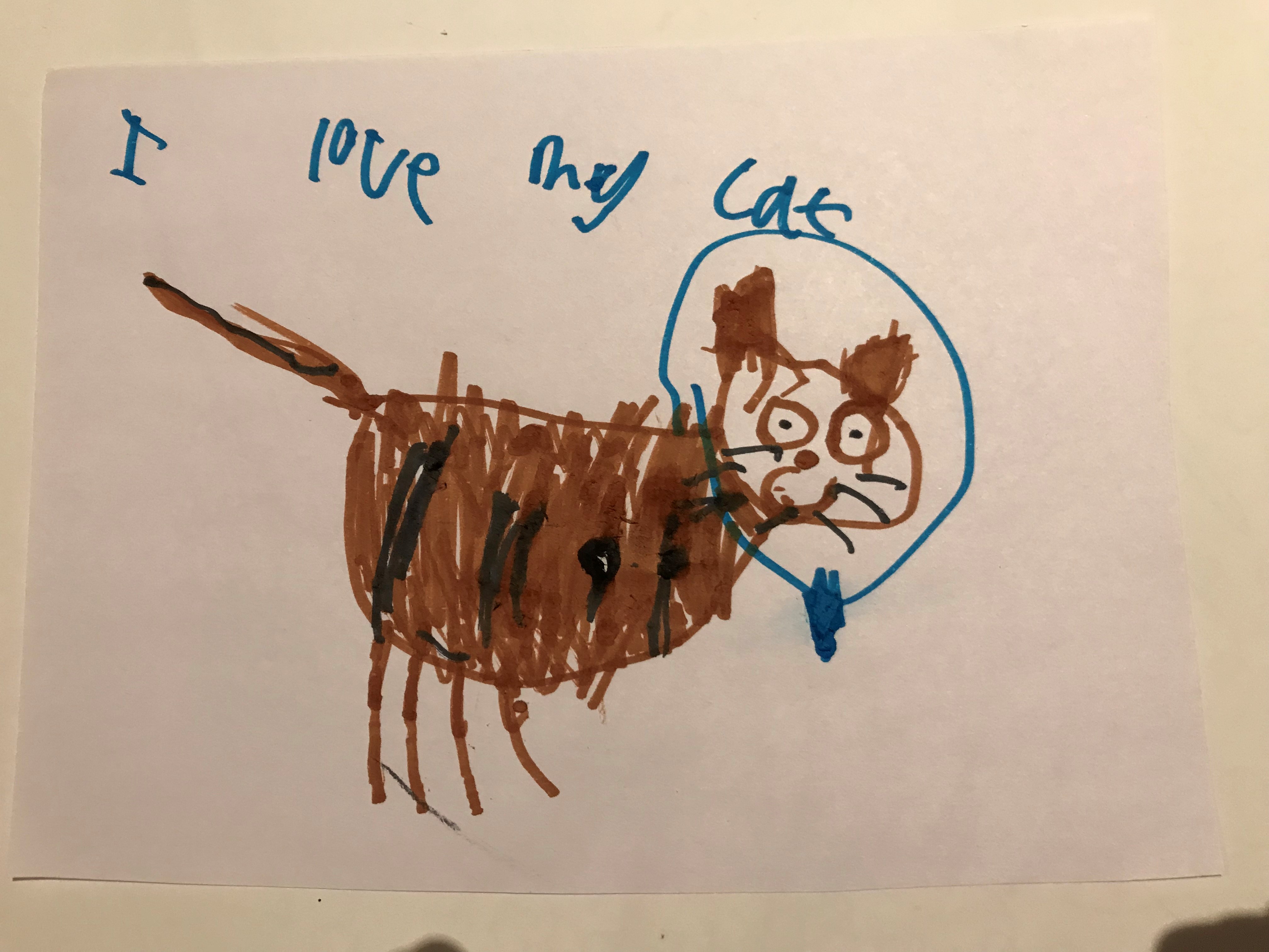 Elijah's picture of his cat, Princess Leia